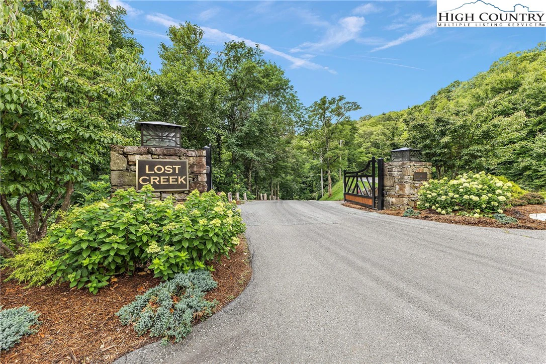 Image number 1 for the current listing