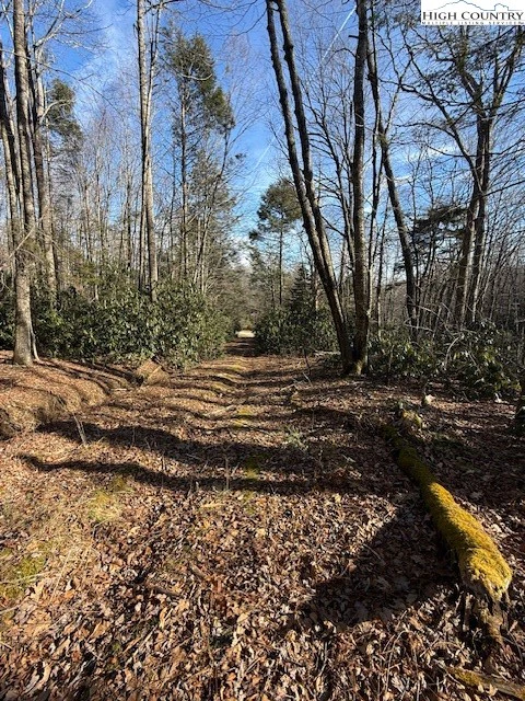 Image number 4 for the current listing