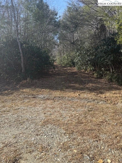 Image number 5 for the current listing