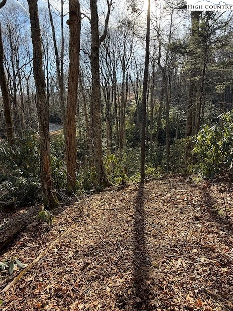 Image number 6 for the current listing