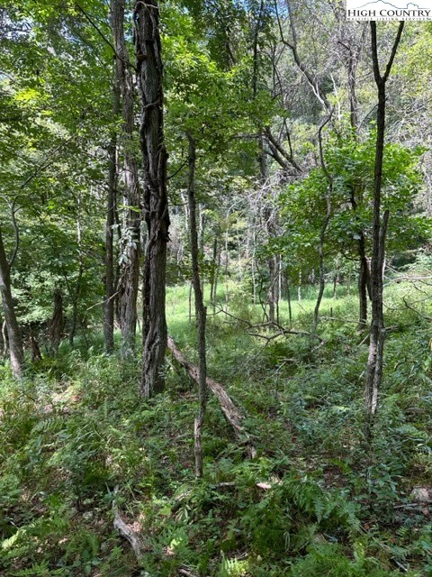 Image number 19 for the current listing