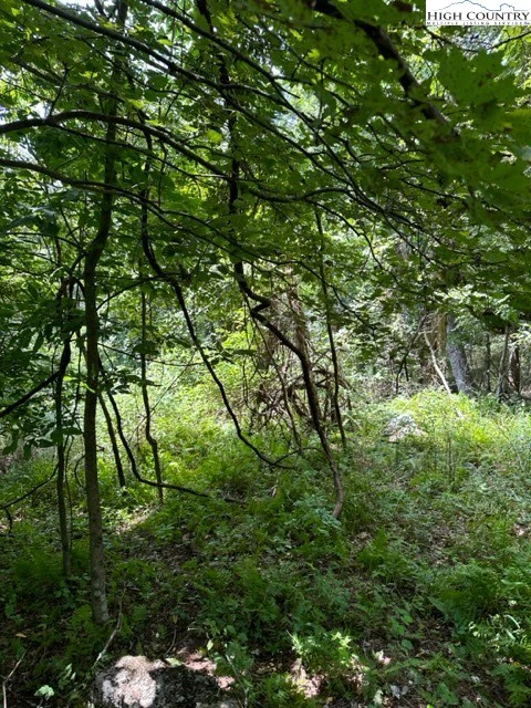 Image number 18 for the current listing