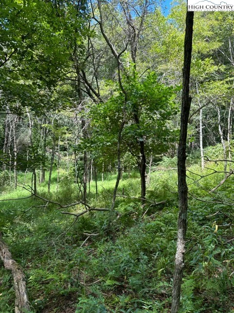 Image number 16 for the current listing