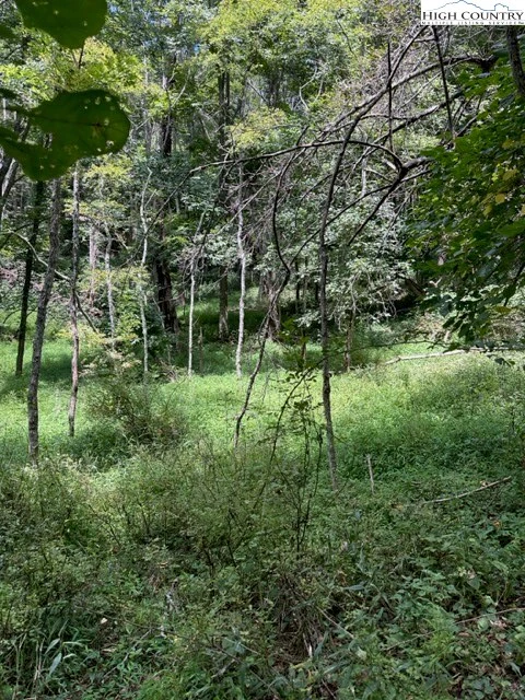 Image number 15 for the current listing
