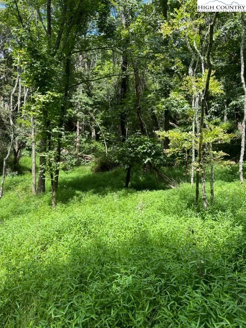 Image number 14 for the current listing