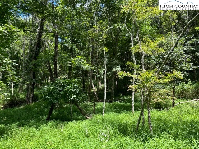 Image number 13 for the current listing