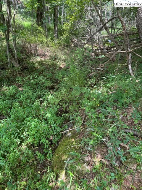 Image number 12 for the current listing
