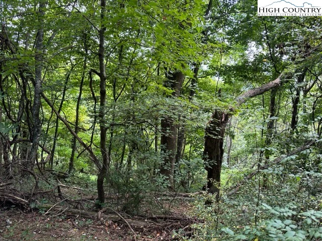 Image number 2 for the current listing