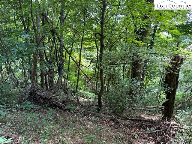 Image number 11 for the current listing