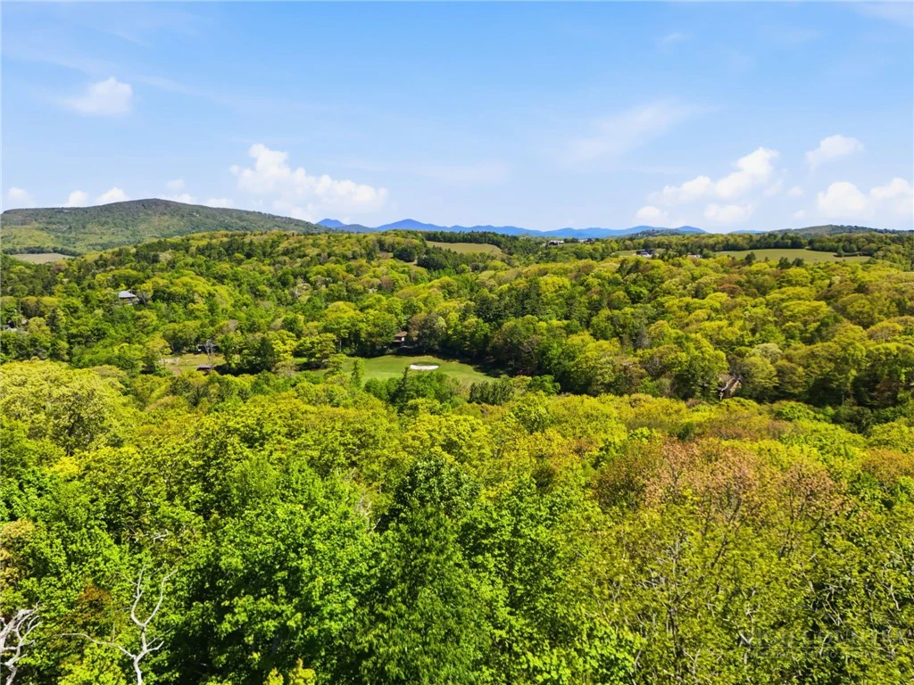 Image number 1 for the current listing