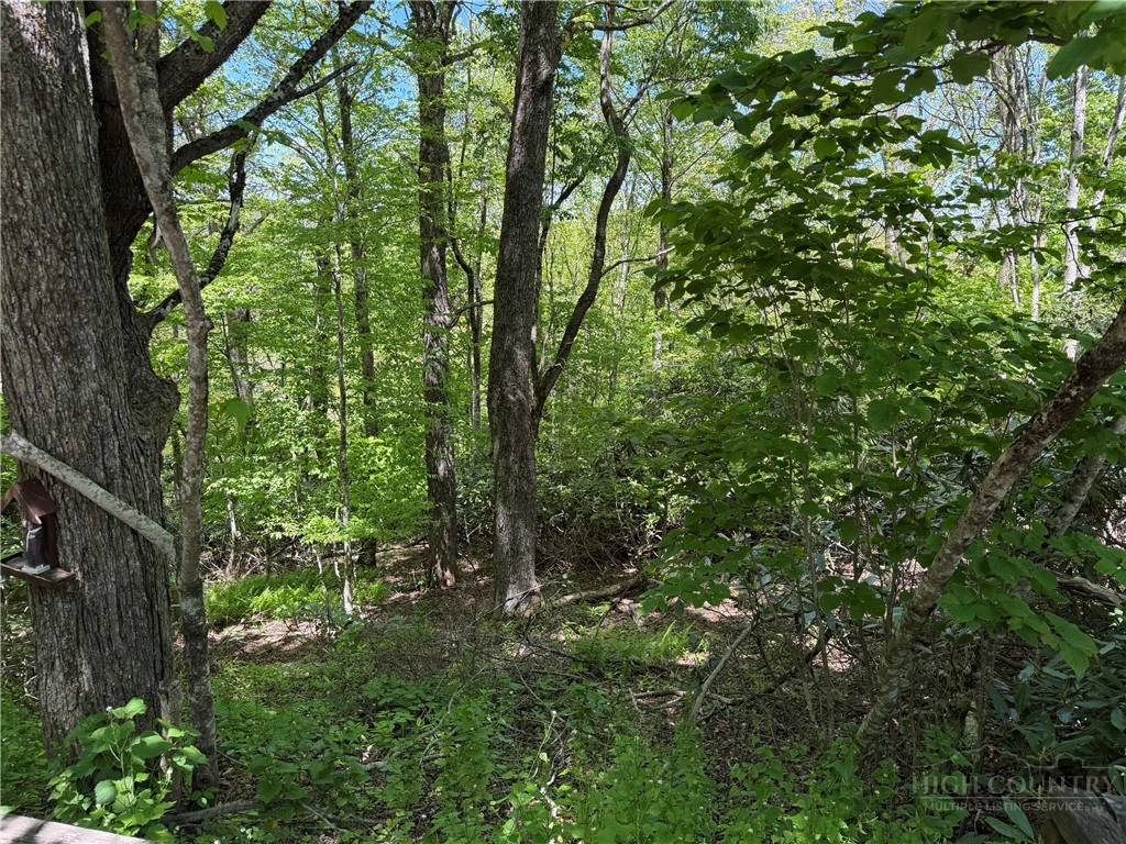 Image number 2 for the current listing