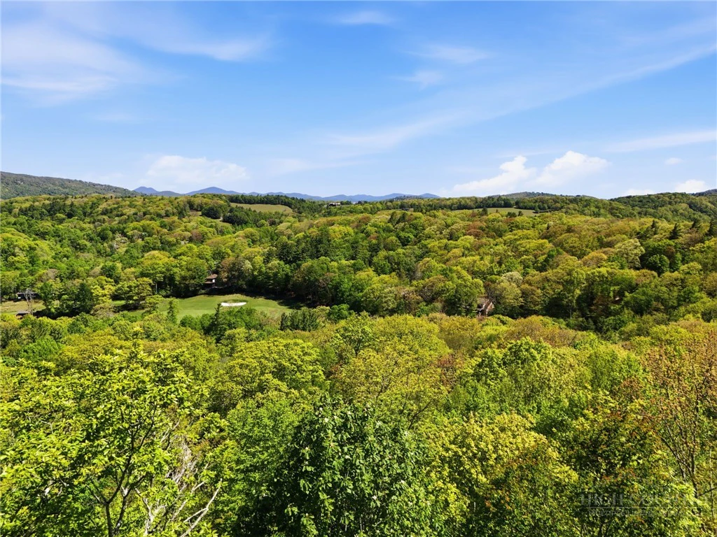 Image number 7 for the current listing