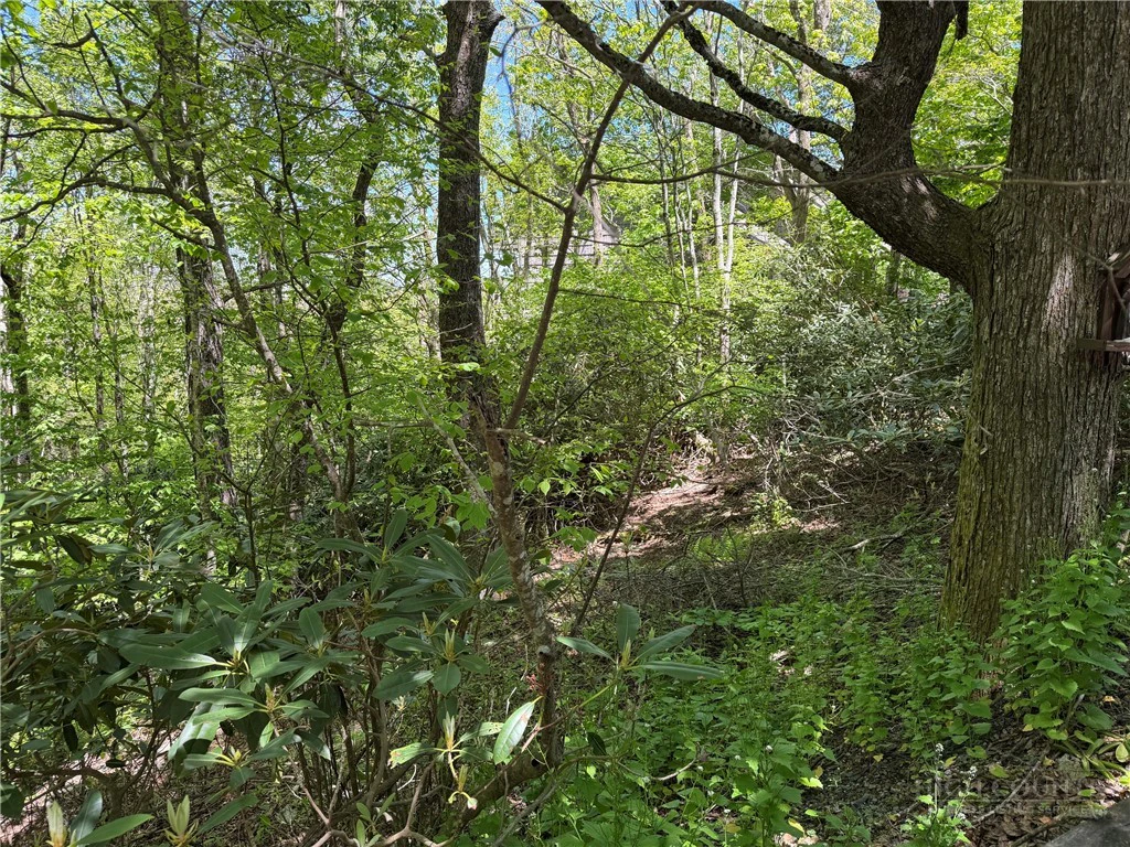 Image number 11 for the current listing