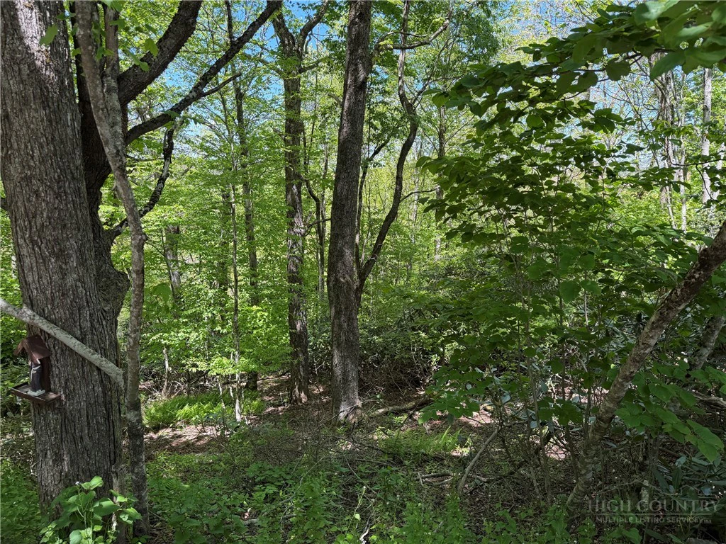 Image number 12 for the current listing