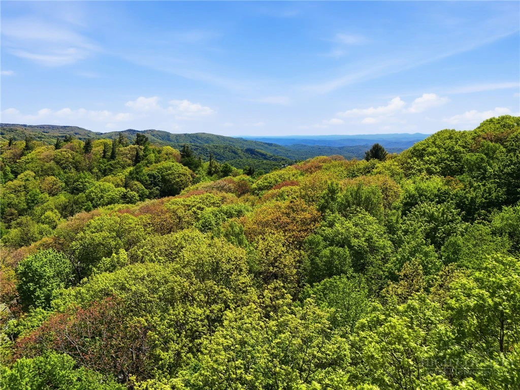 Image number 14 for the current listing