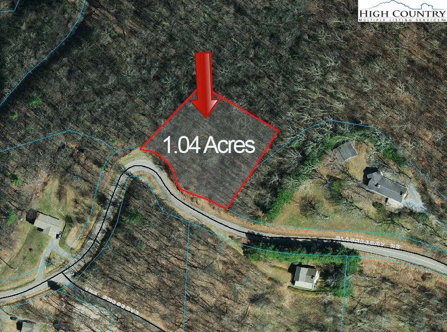 Image number 1 for the current listing