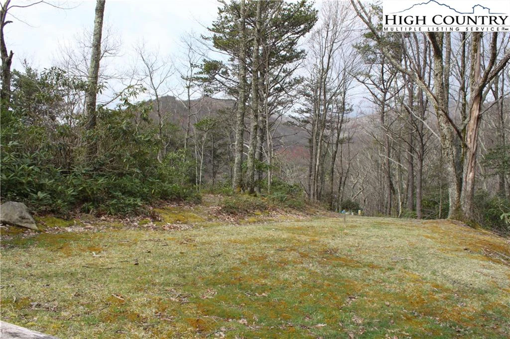 Image number 19 for the current listing