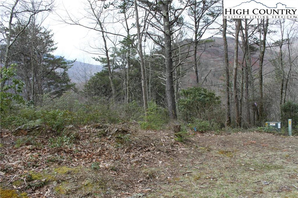 Image number 18 for the current listing
