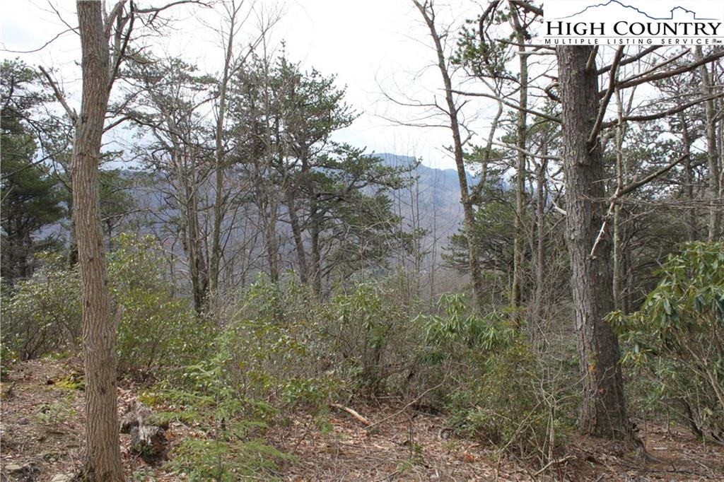 Image number 2 for the current listing
