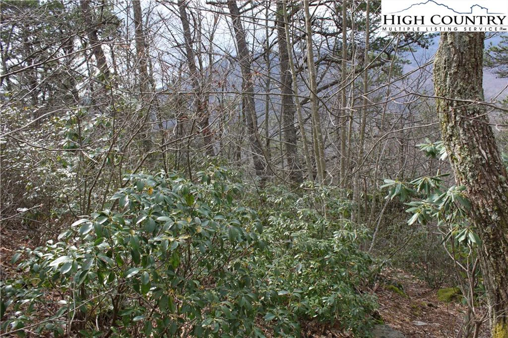 Image number 14 for the current listing