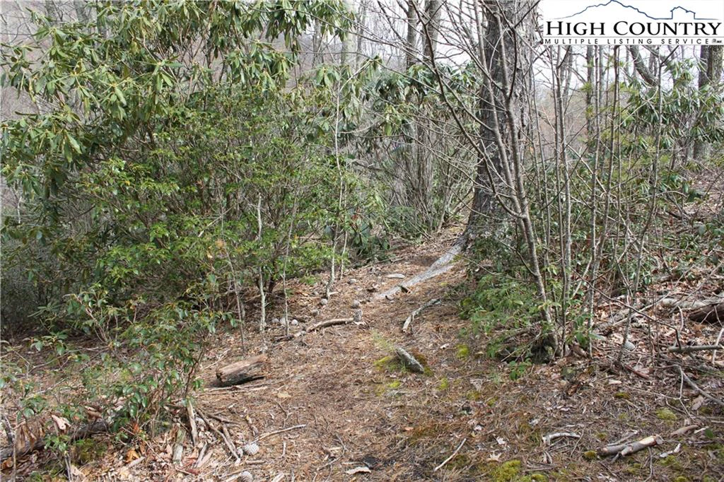 Image number 13 for the current listing
