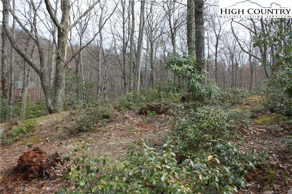 Image number 9 for the current listing