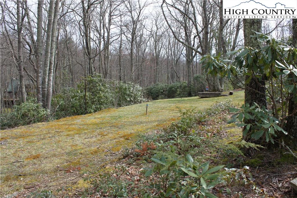 Image number 6 for the current listing