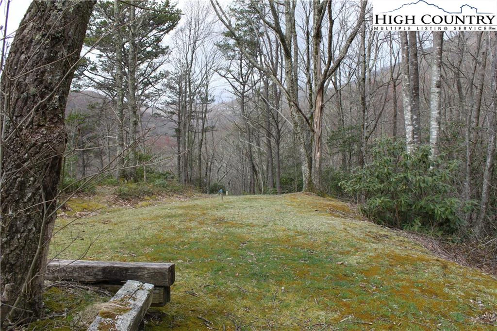 Image number 21 for the current listing