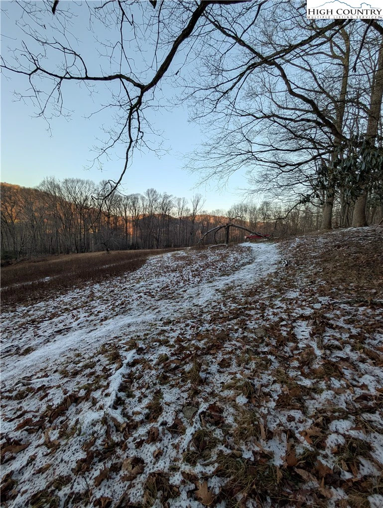 Image number 4 for the current listing