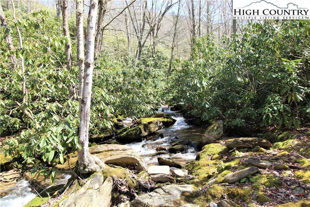 Image number 1 for the current listing