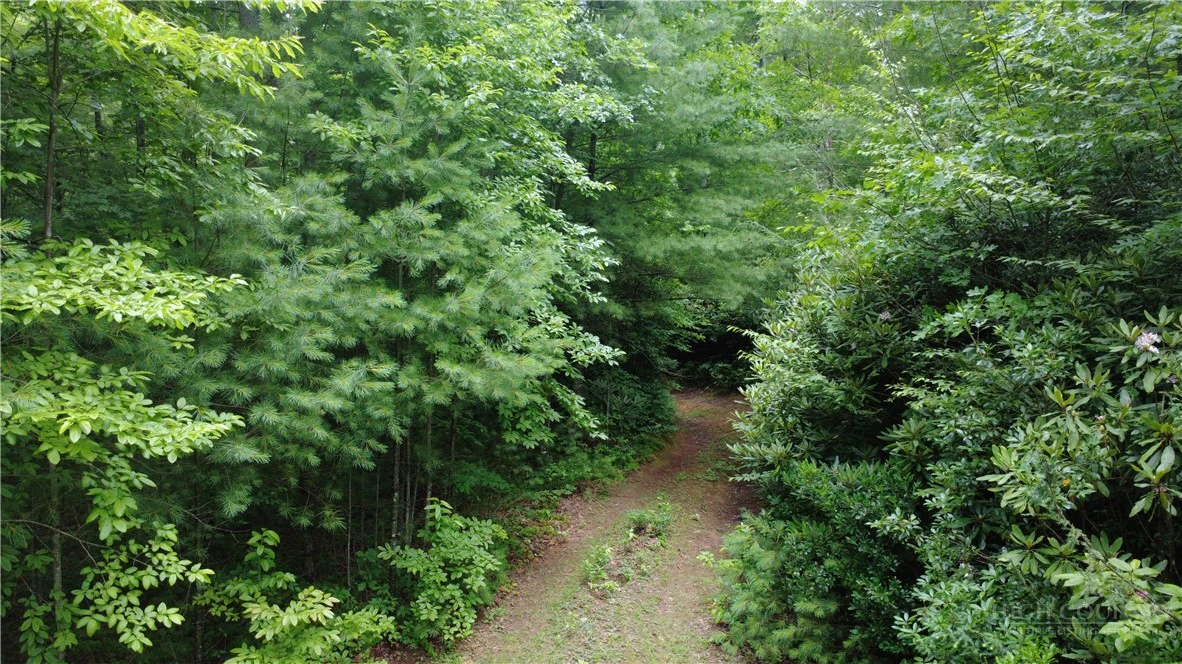 Image number 2 for the current listing