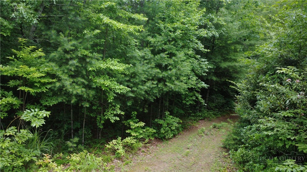 Image number 4 for the current listing