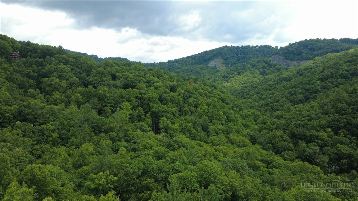 Image number 5 for the current listing