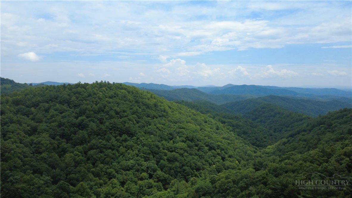 Image number 7 for the current listing