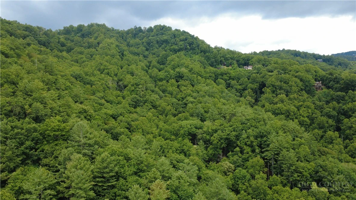 Image number 11 for the current listing
