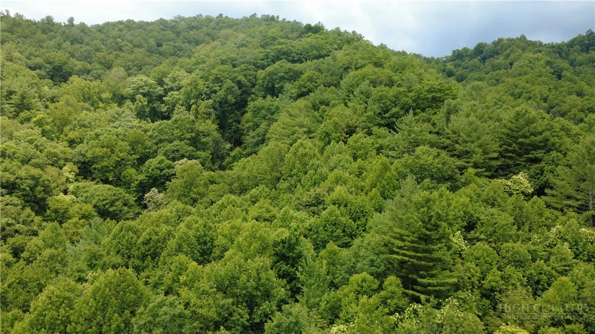Image number 15 for the current listing