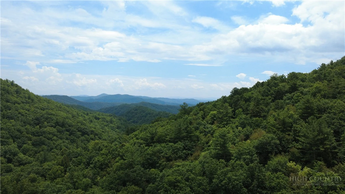 Image number 17 for the current listing