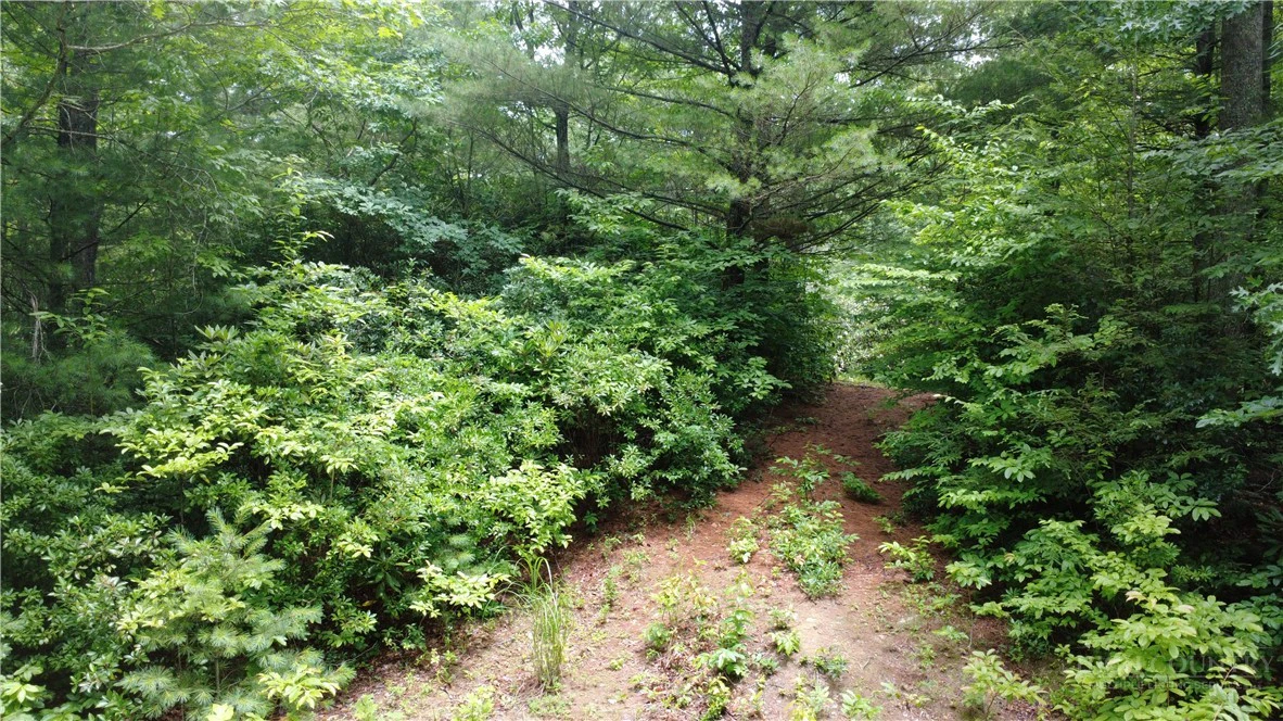 Image number 21 for the current listing