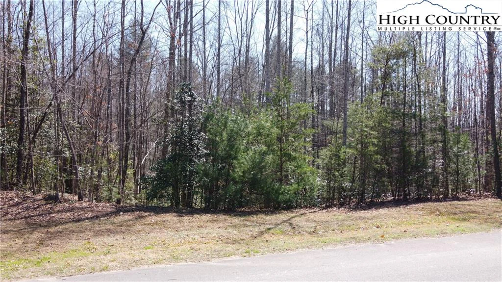 Image number 8 for the current listing