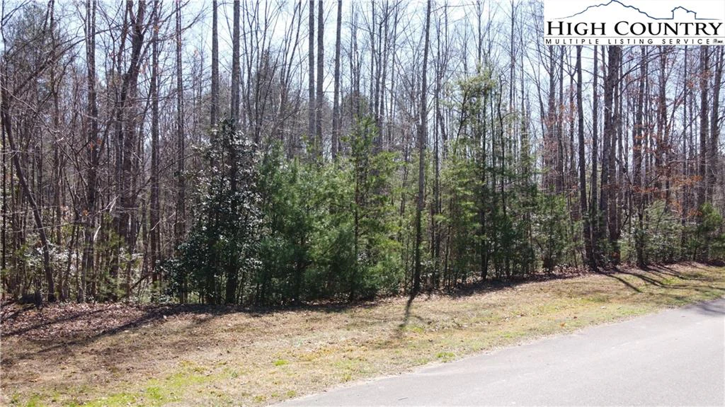 Image number 9 for the current listing