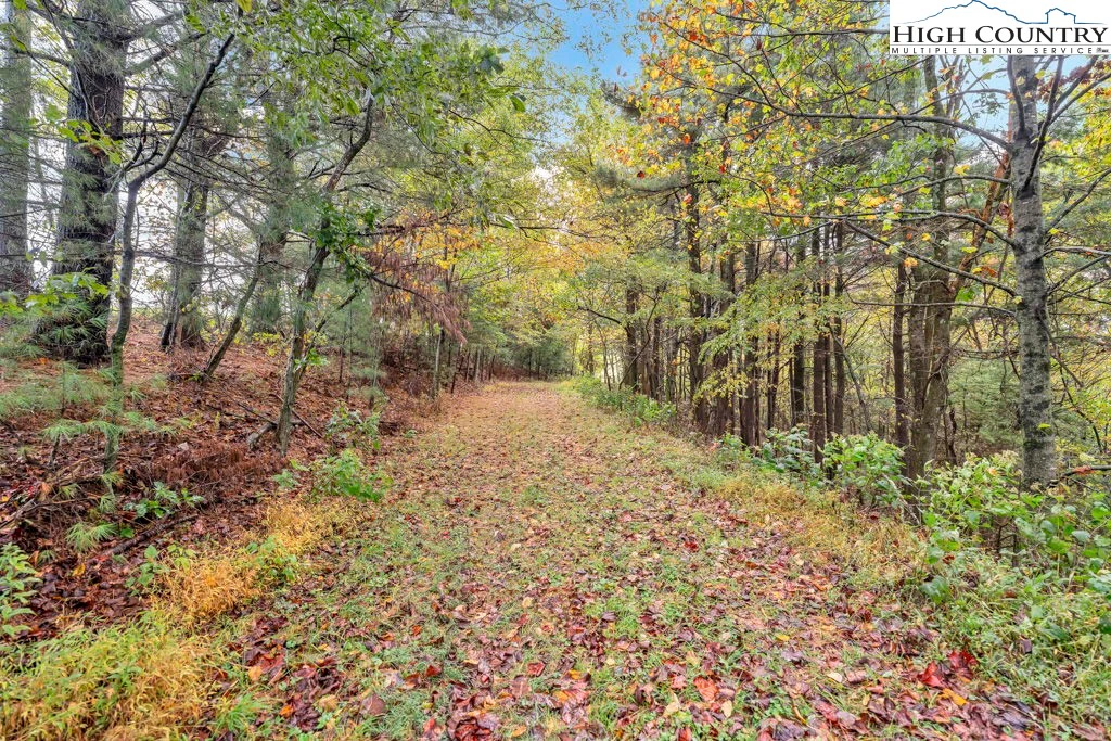 Image number 19 for the current listing
