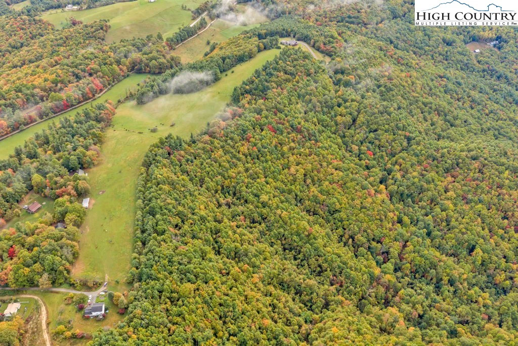 Image number 1 for the current listing