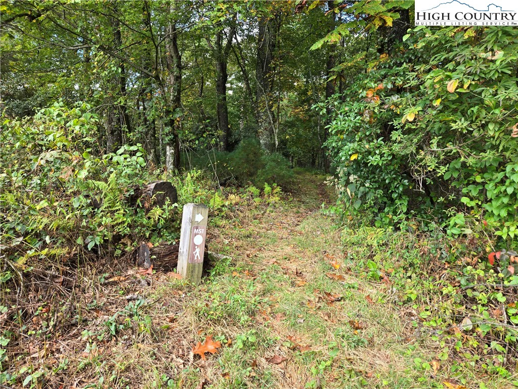 Image number 3 for the current listing