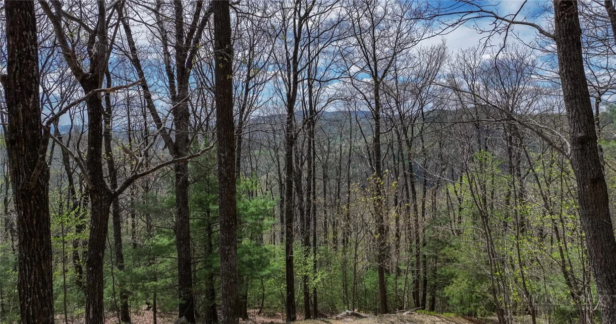 Image number 2 for the current listing