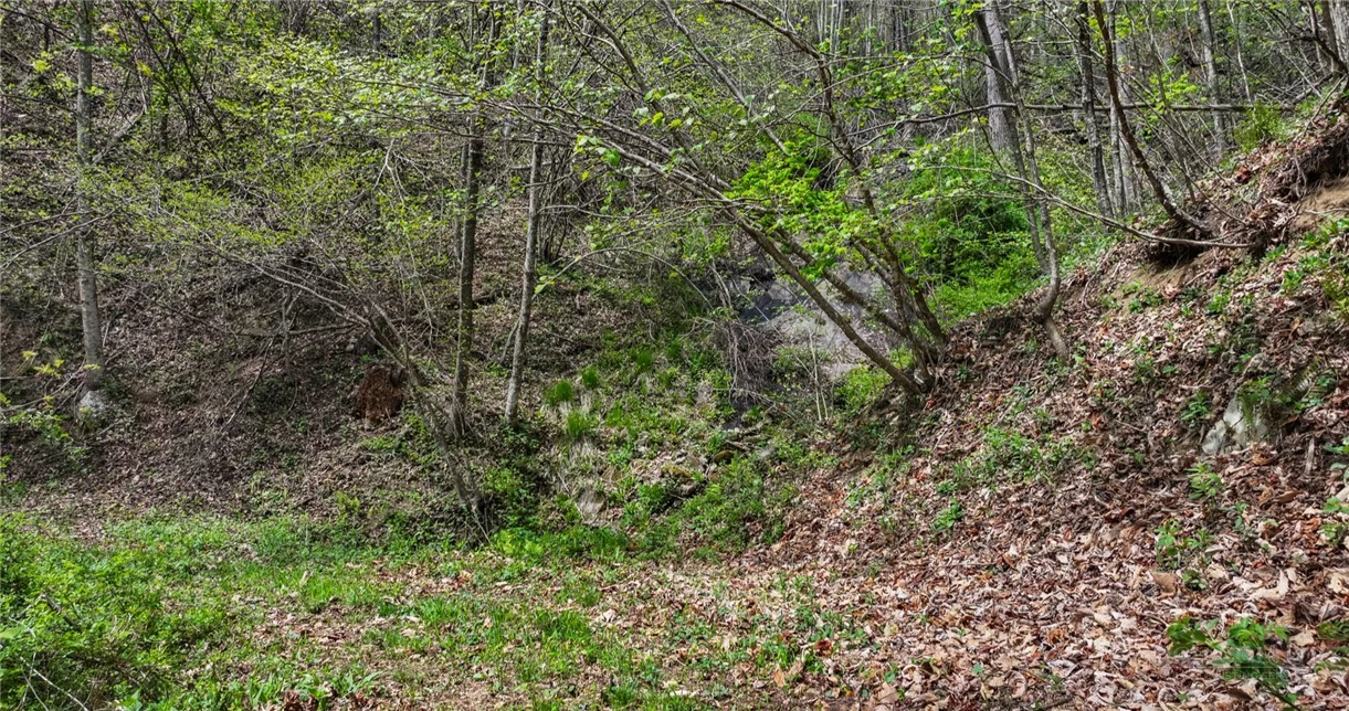 Image number 11 for the current listing