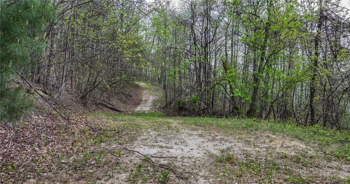 Image number 7 for the current listing