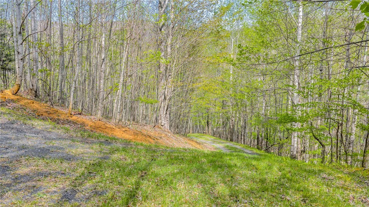 Image number 17 for the current listing