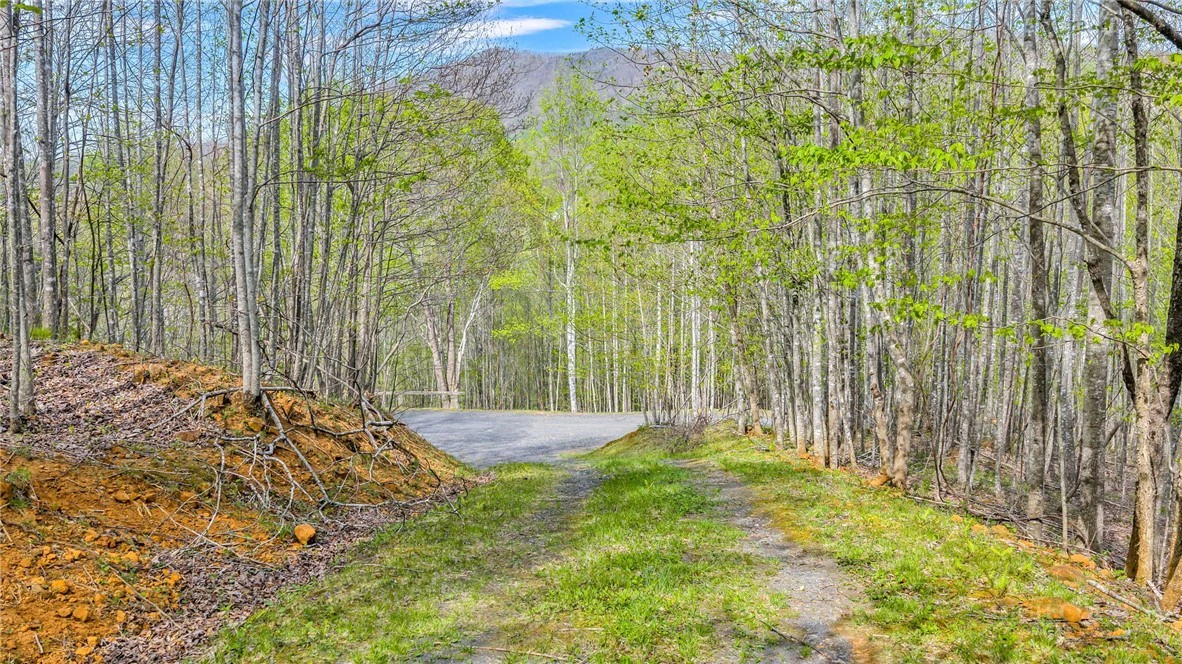 Image number 14 for the current listing