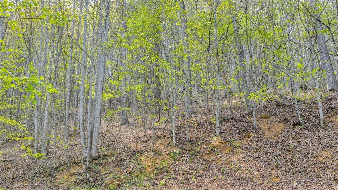 Image number 16 for the current listing