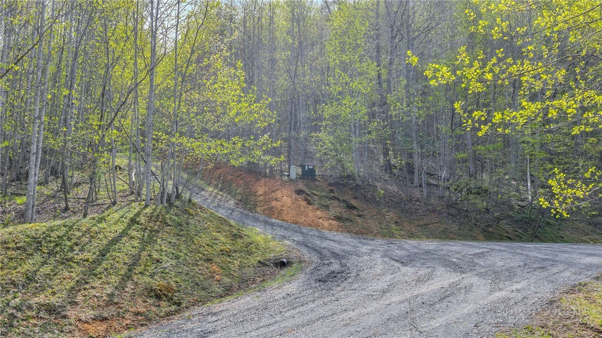 Image number 19 for the current listing